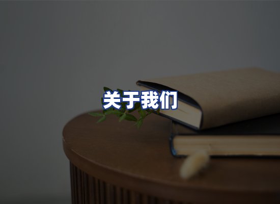 专业团队